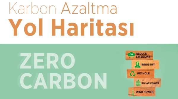 Karbon Azaltma