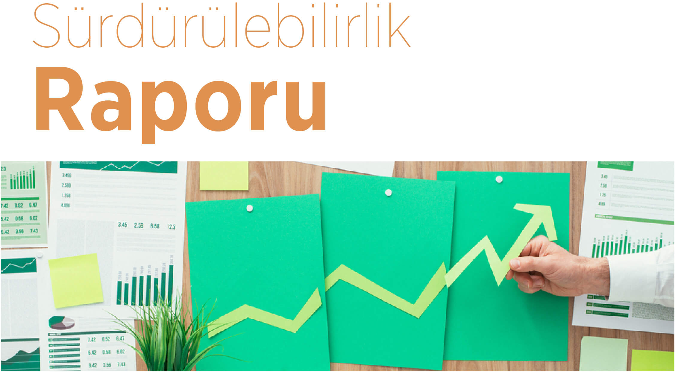 sürdürülebilirlik 